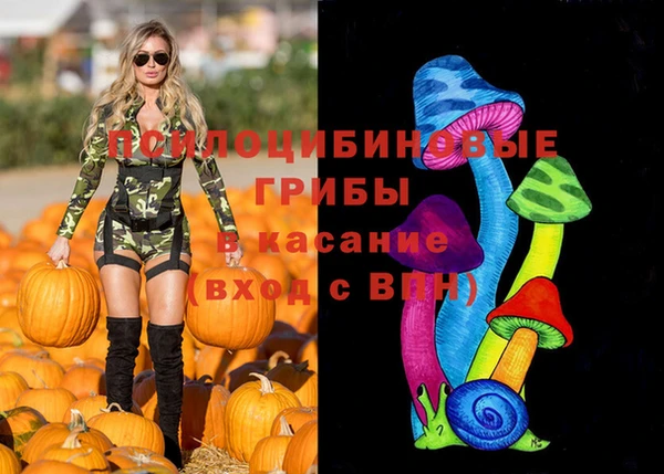 мяу мяу мука Абинск