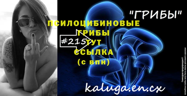 меф Алексин