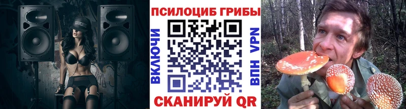 Галлюциногенные грибы Psilocybe  цена наркотик  Троицк 